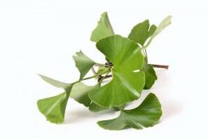 ginkgo biloba to increase penis size